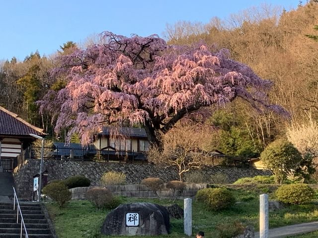 🏯 영원한 샘 사원(에이센지) 이미지 1